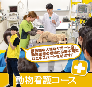 神戸ブレーメン動物専門学校 動物看護コース コレカラ進路 Jp