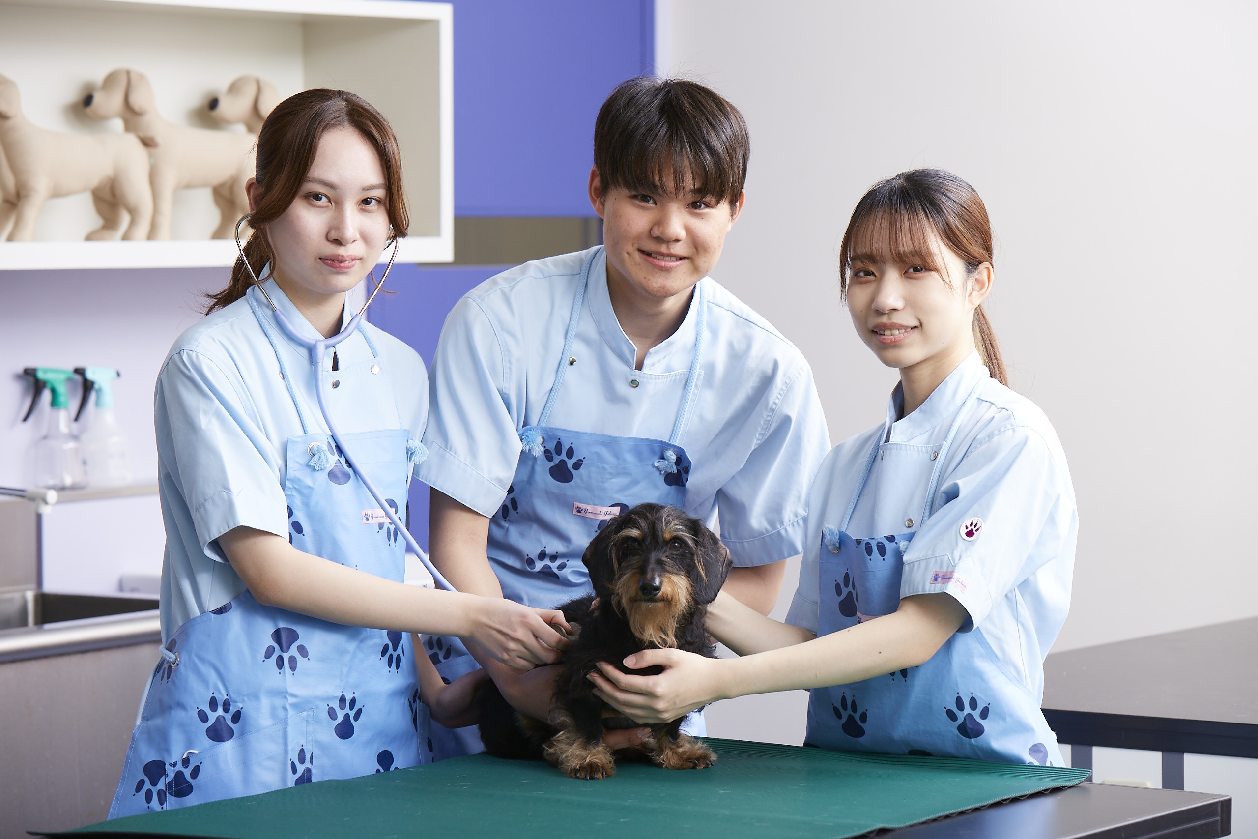 ヤマザキ動物専門学校