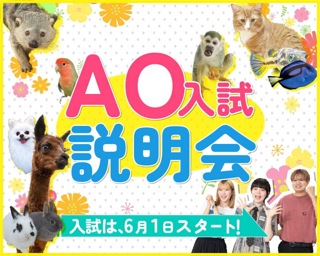 AO入学制度まるわかり説明会