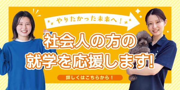 総合型選抜入試エントリー受付開始