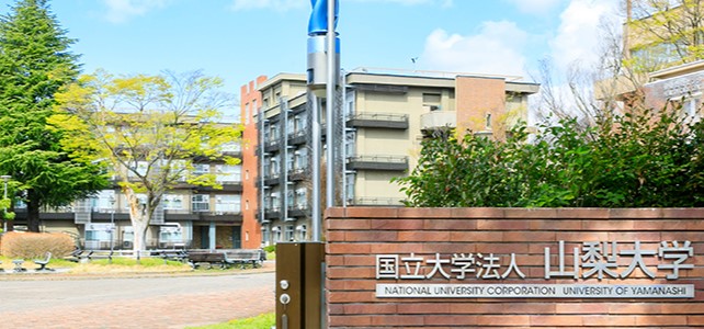 山梨大学