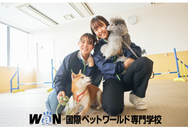国際ペットワールド専門学校