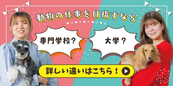 総合型選抜入試エントリー受付開始
