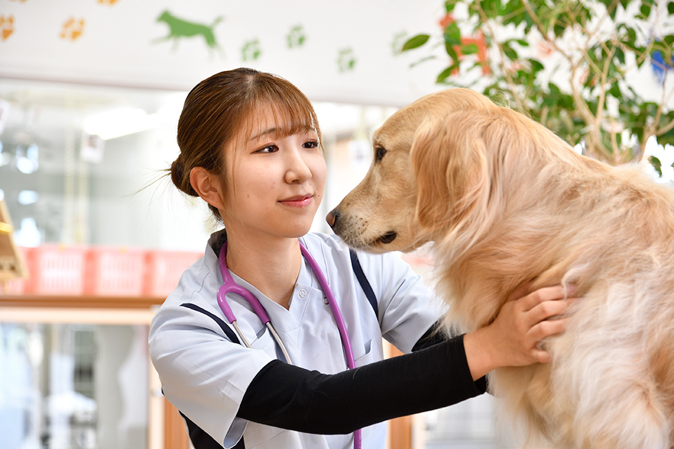 信州松本動物専門学校