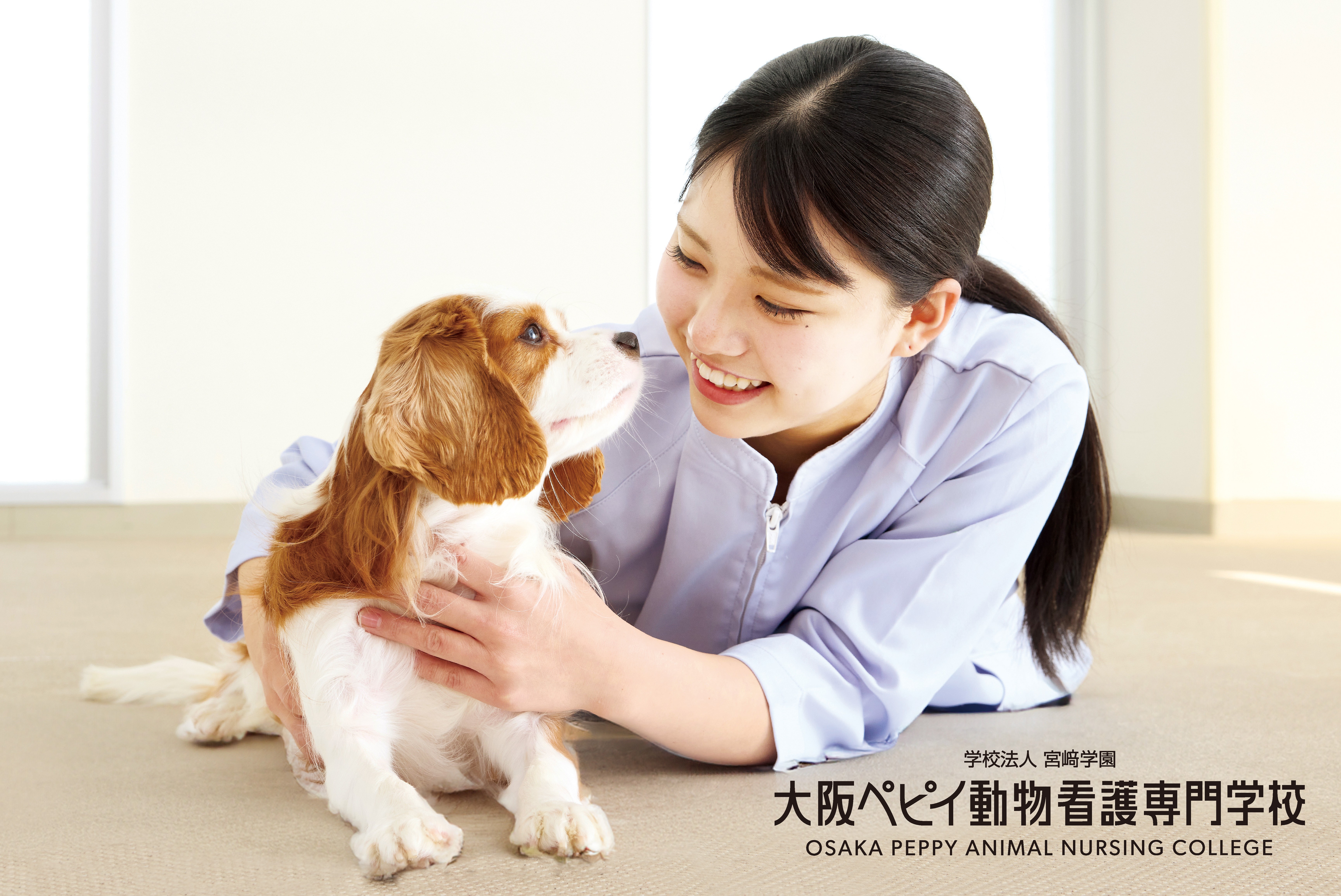 大阪ペピイ動物看護専門学校