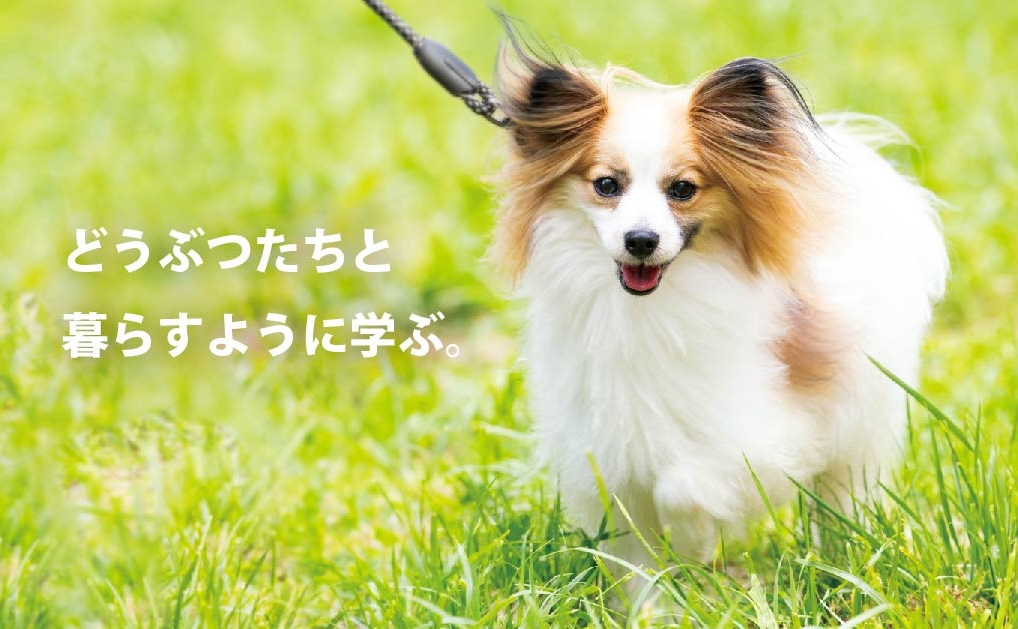 北海道どうぶつ・医療専門学校