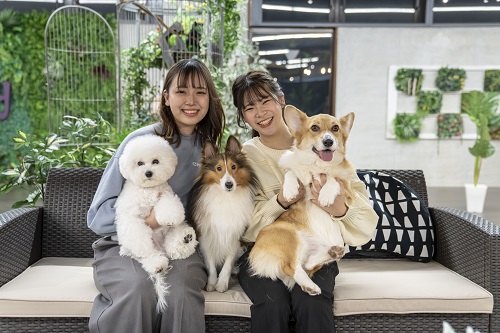 穴吹動物看護カレッジ
