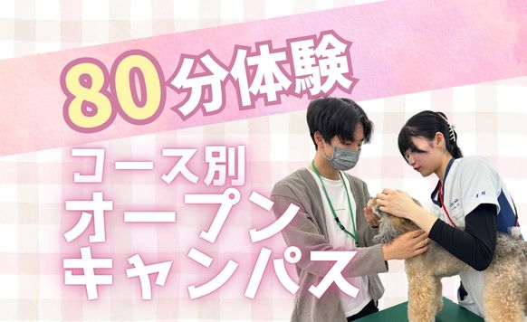 じっくり体験してみよう★