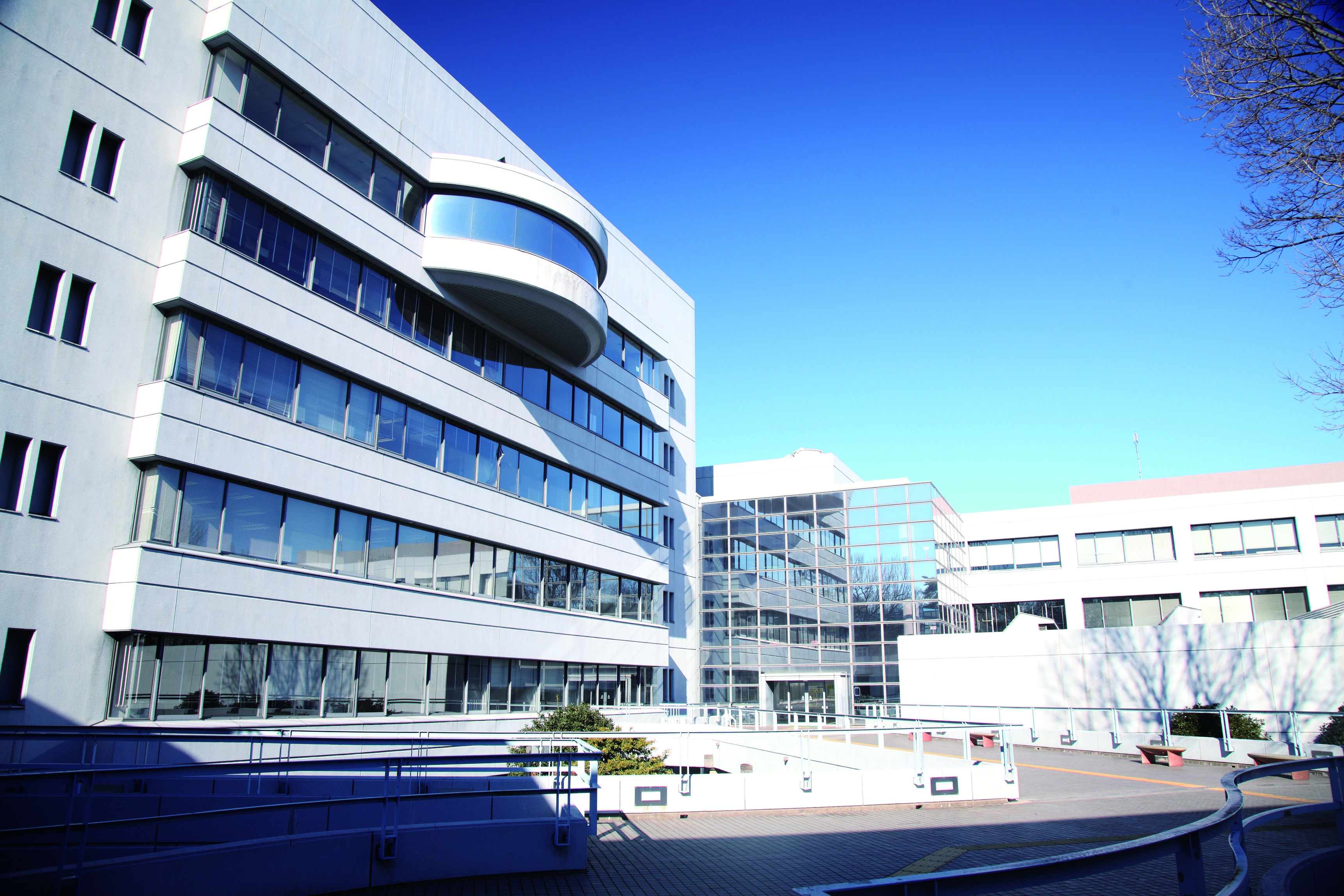 日本社会事業大学