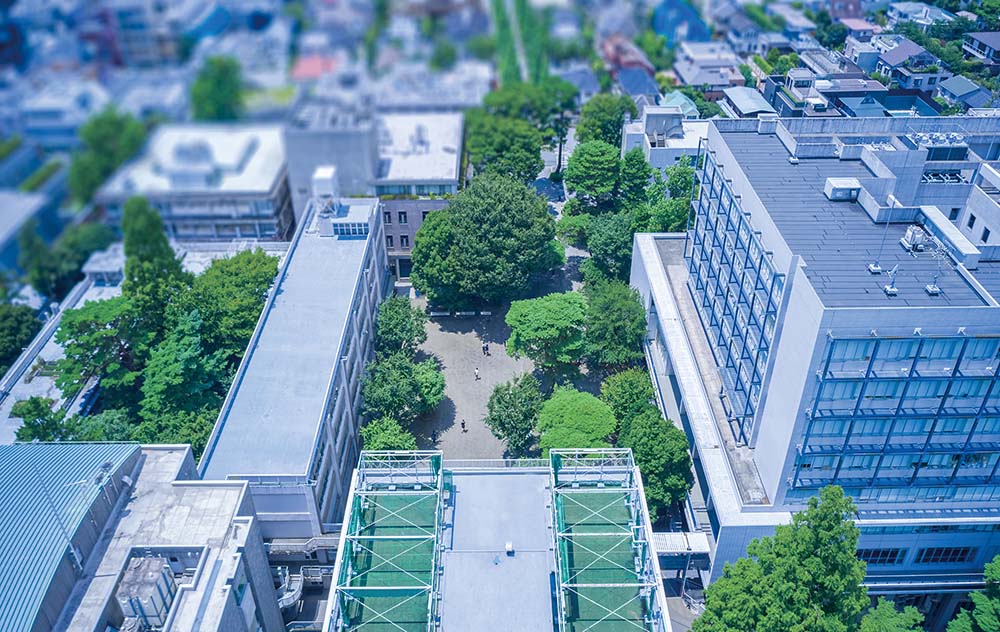 成城大学