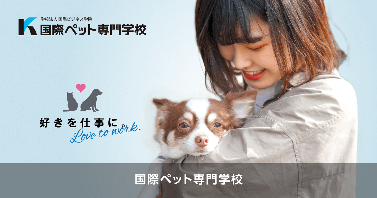 国際ペット専門学校金沢