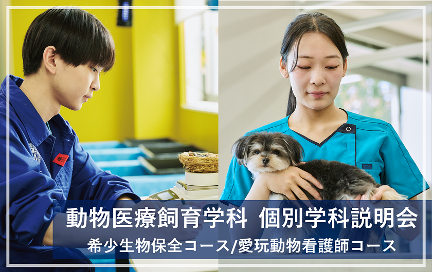 学校説明会