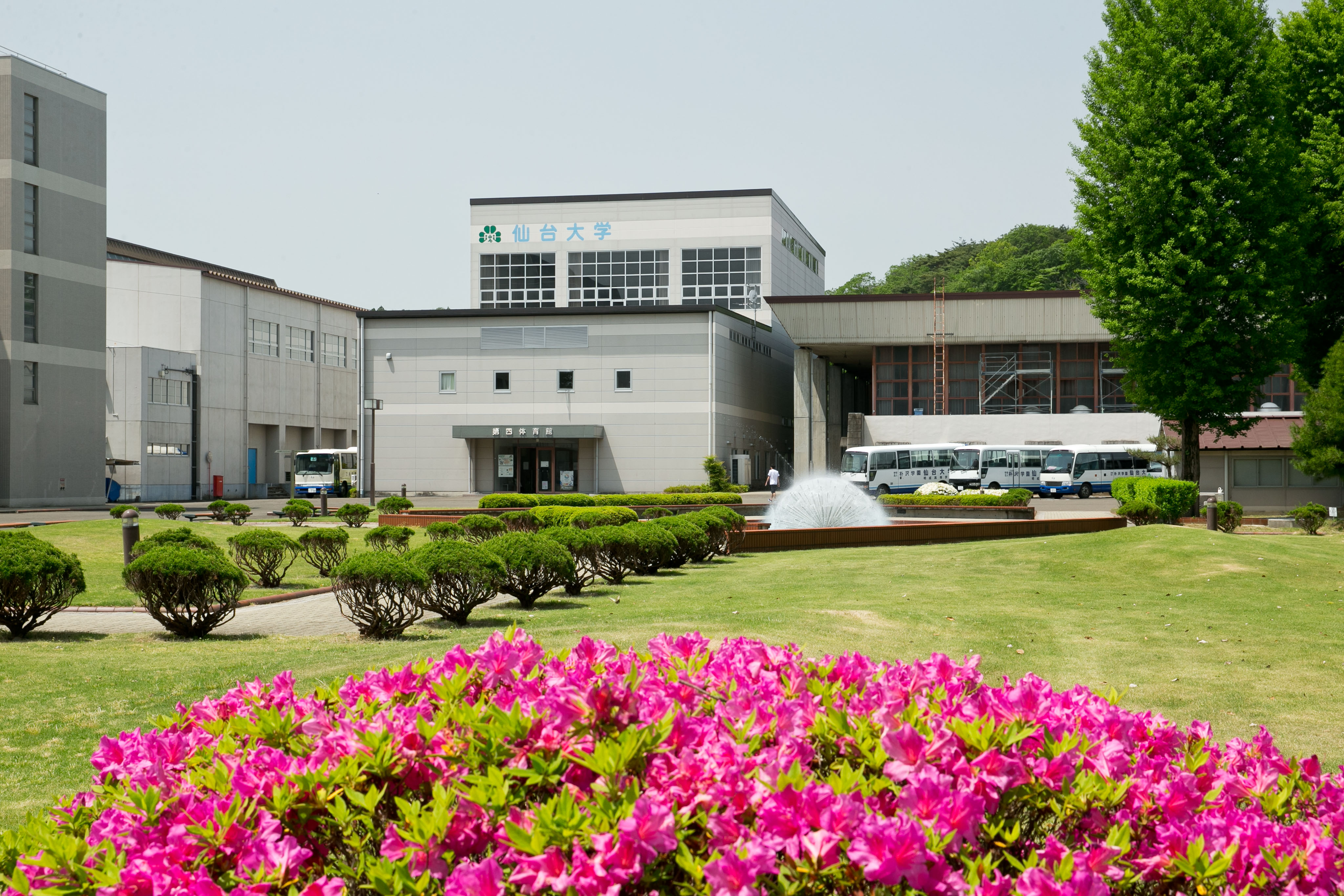 仙台大学