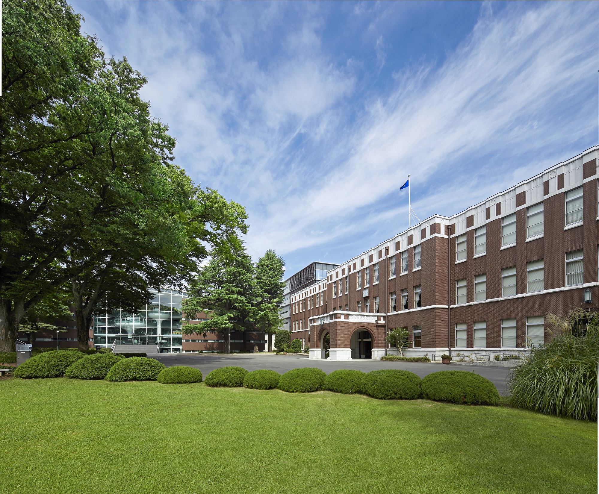 成蹊大学