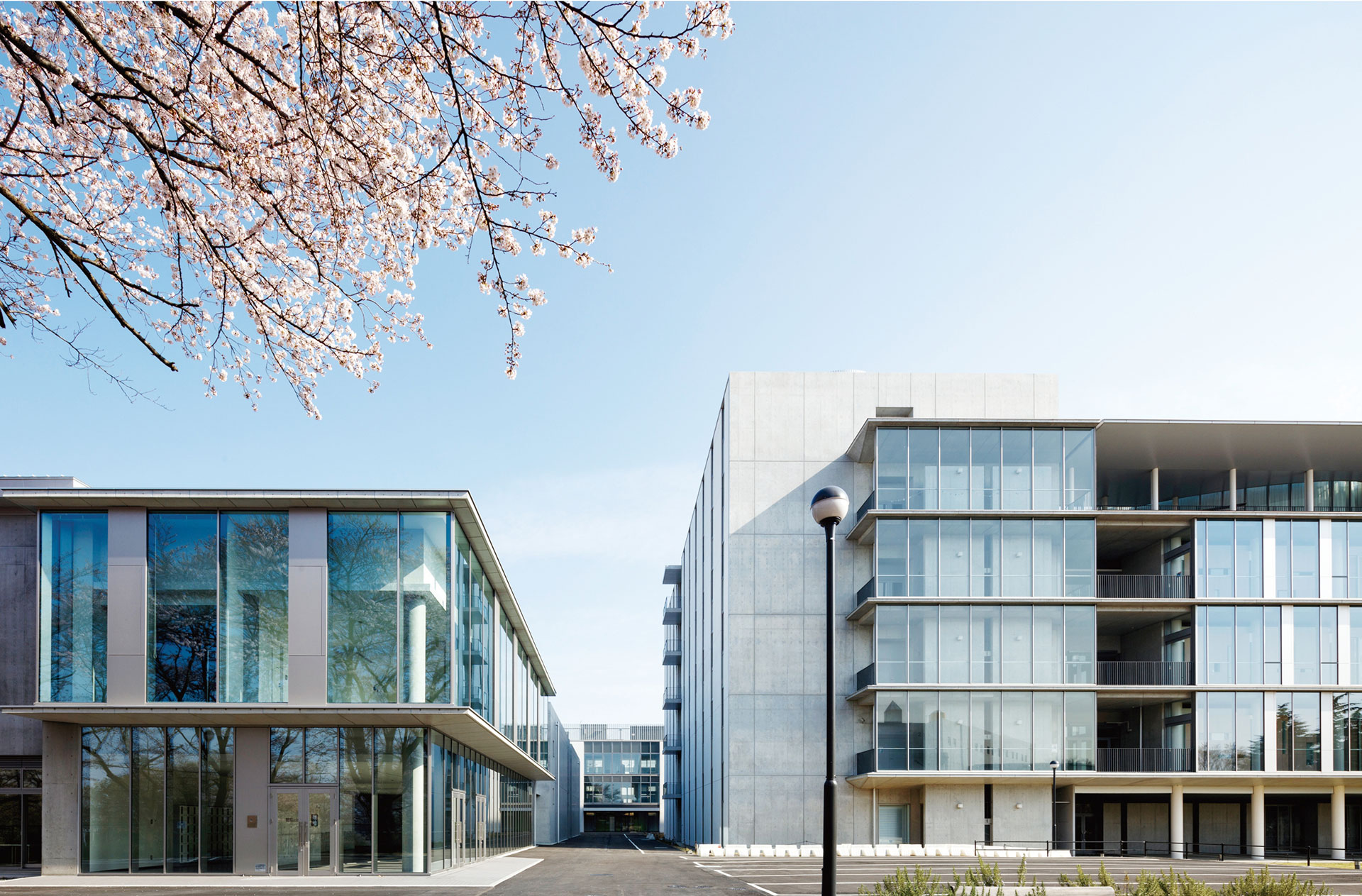 桐蔭横浜大学