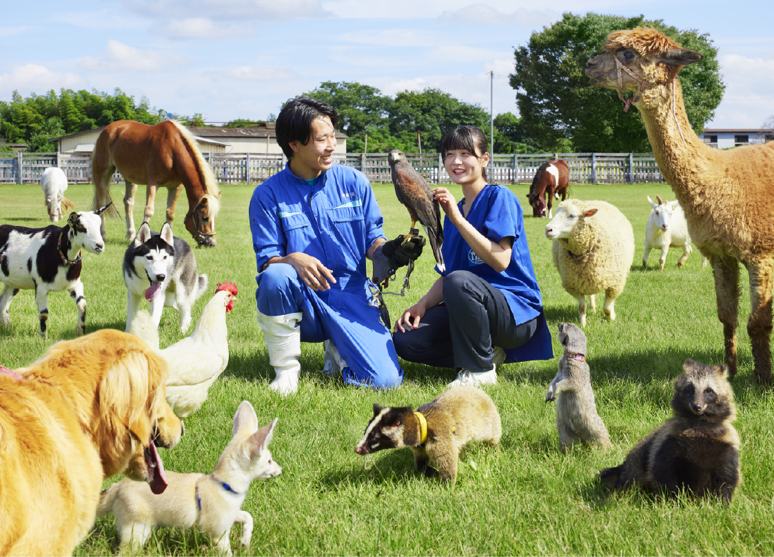 東京動物専門学校