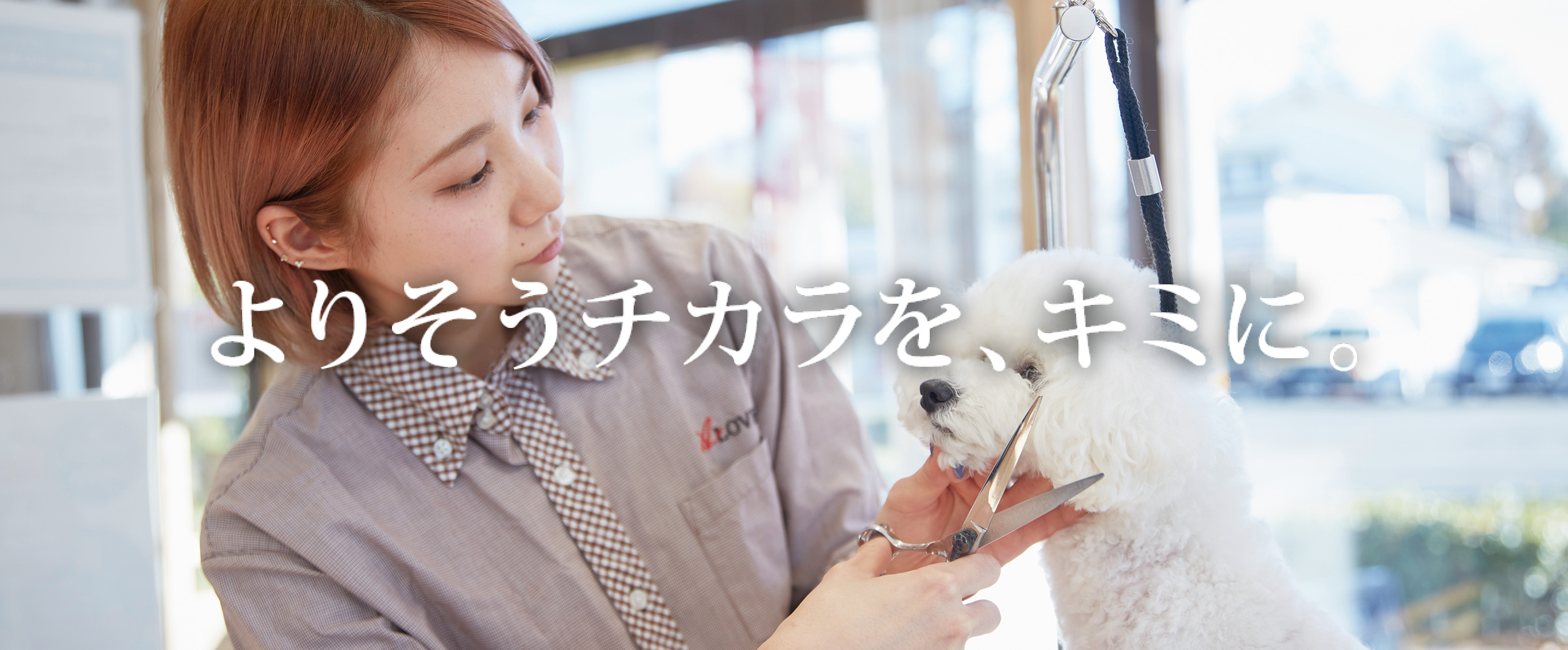 仙台総合ペット専門学校