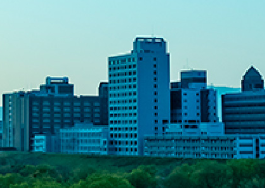 大阪工業大学