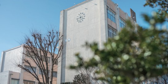日本保健医療大学