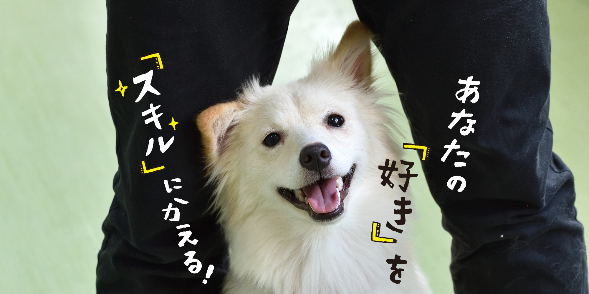 沖縄ペットワールド専門学校