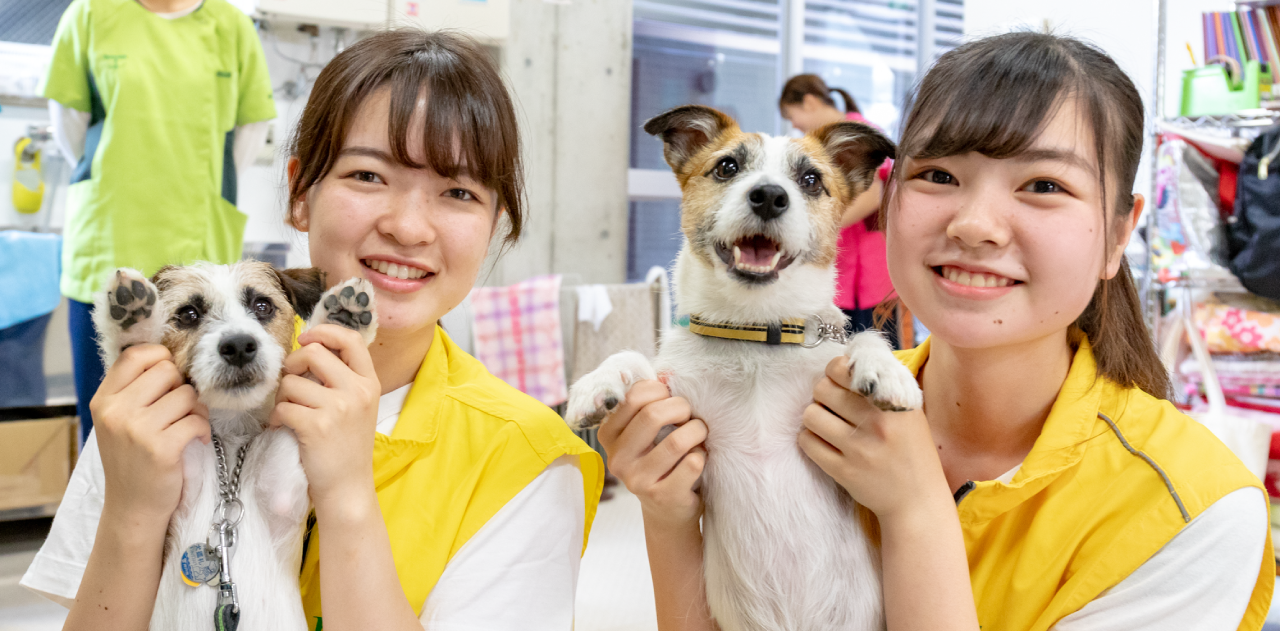大阪ブレーメン動物専門学校