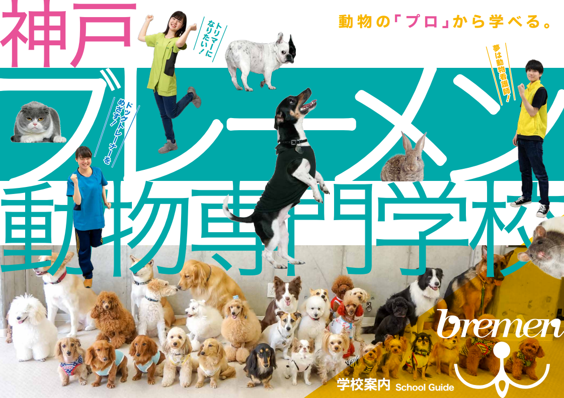 神戸ブレーメン動物専門学校
