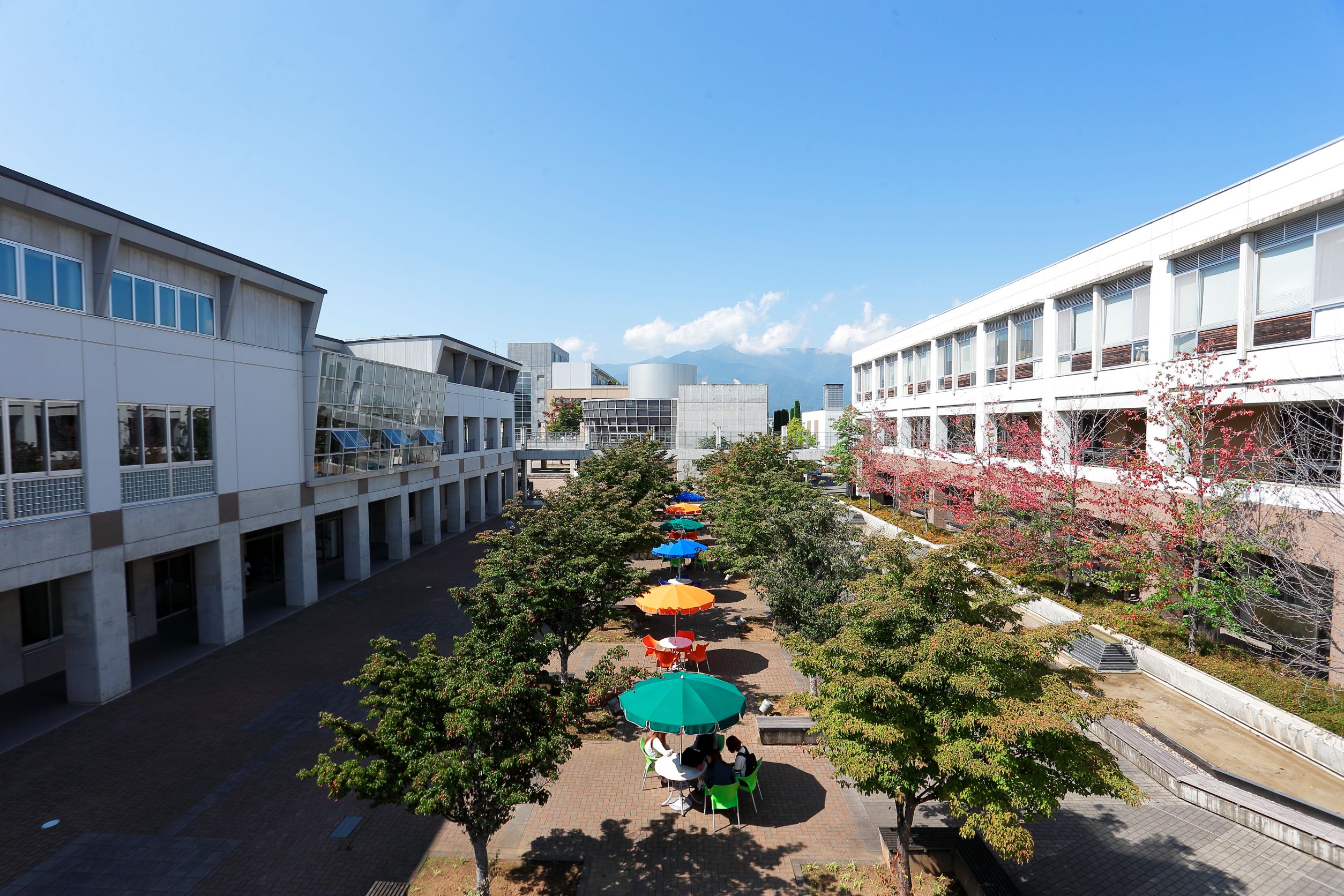 松本大学松商短期大学部