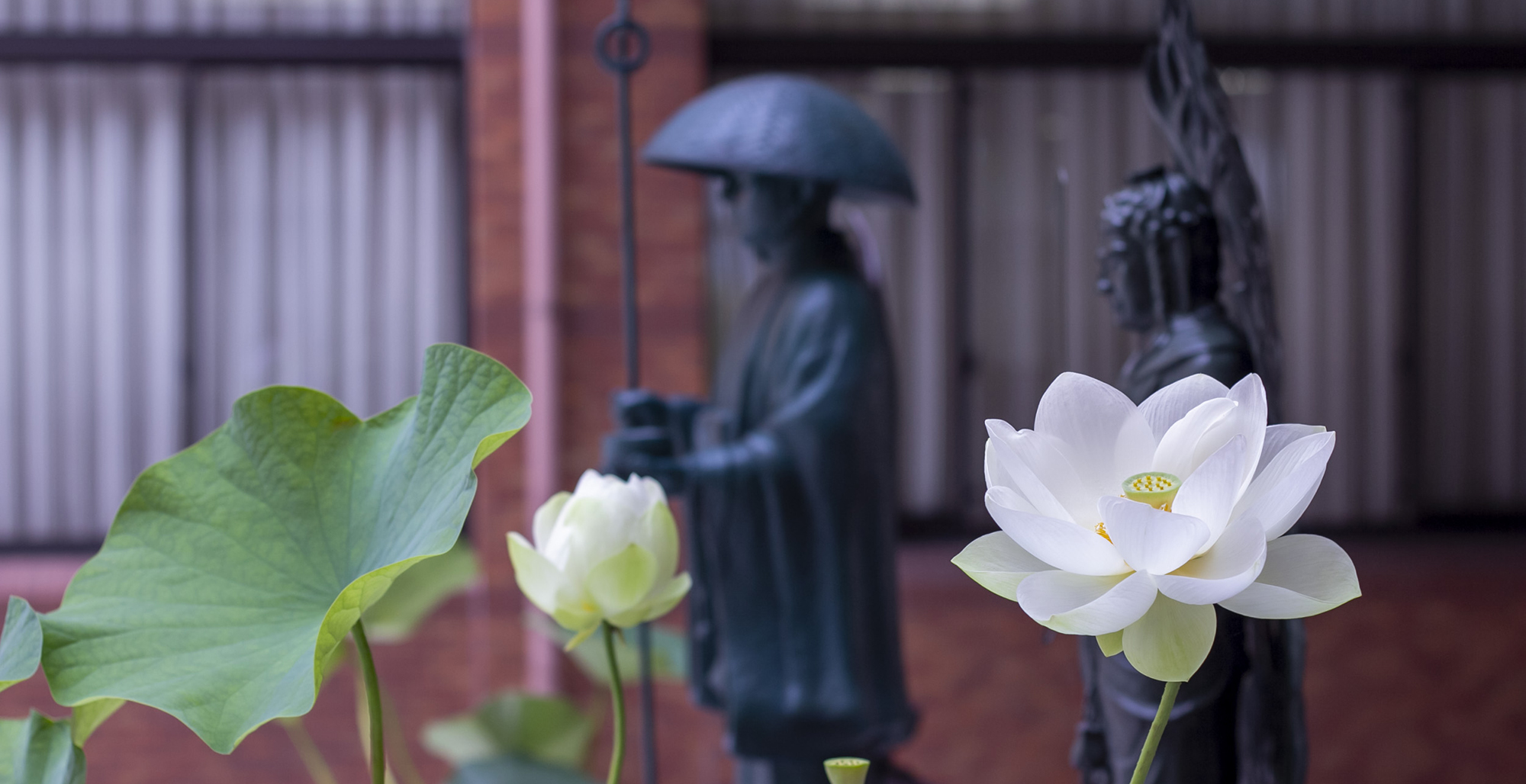 種智院大学