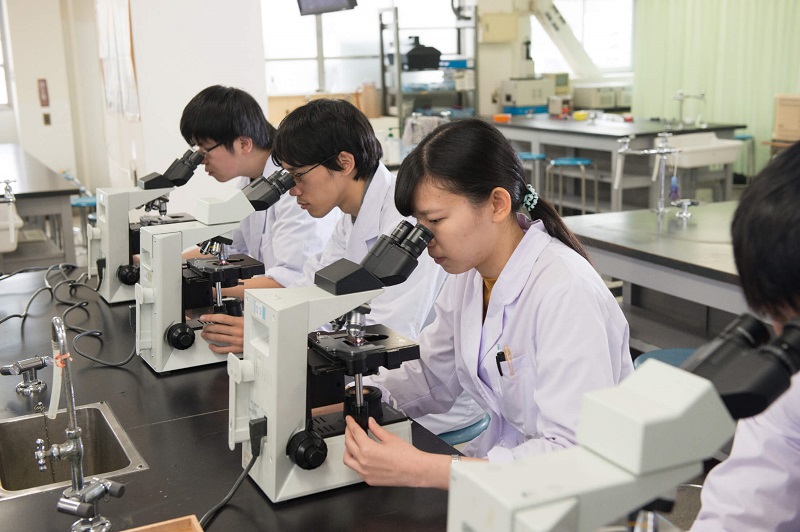 専門学校東洋公衆衛生学院