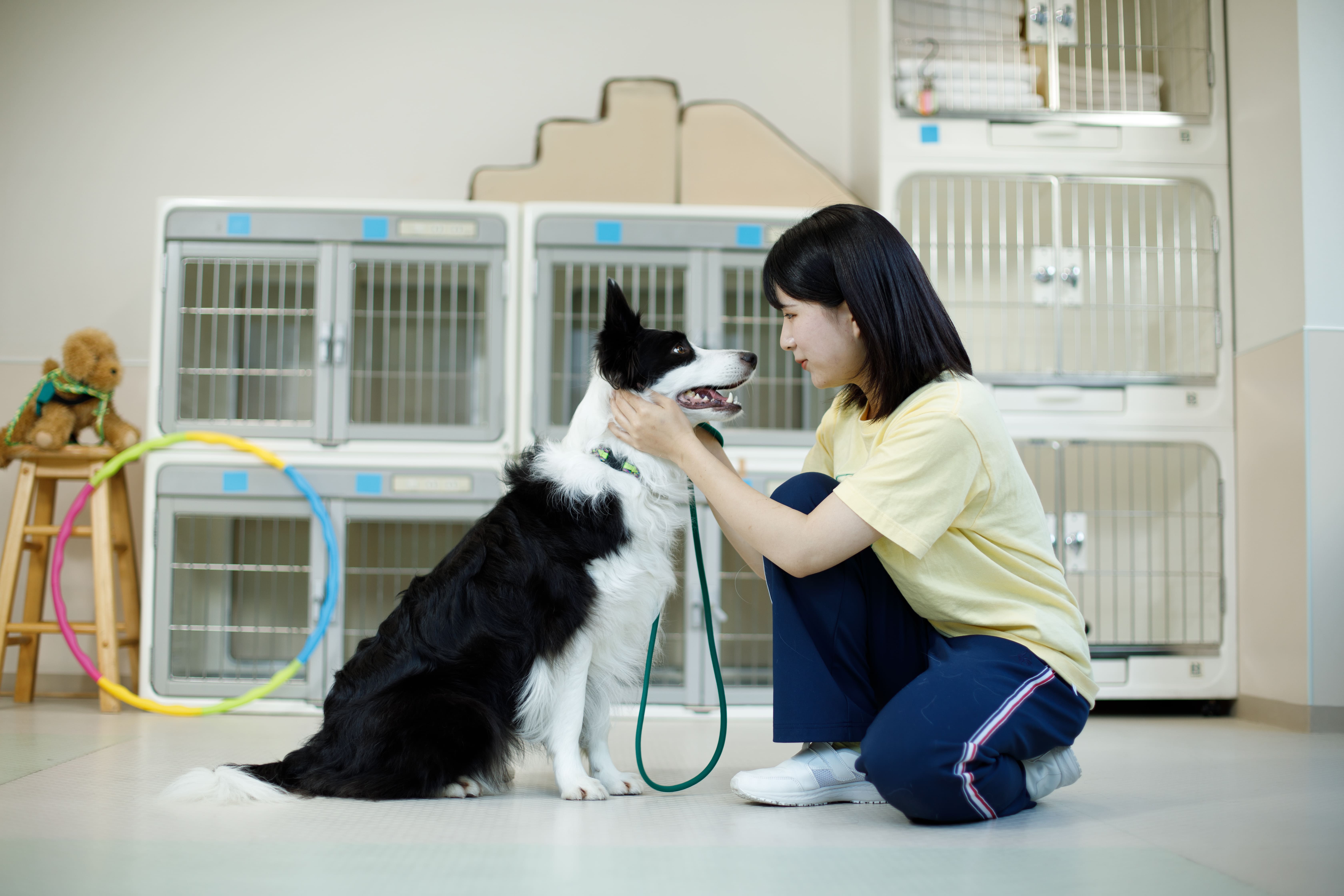 札幌どうぶつ専門学校