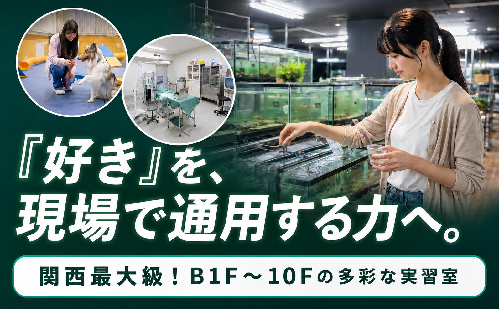 神戸動植物環境専門学校