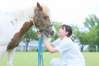 キャンパス内の馬場にいる、ポニーのメイちゃんです。「動物介在療法」の授業で、ホースセラピーについて学びます。