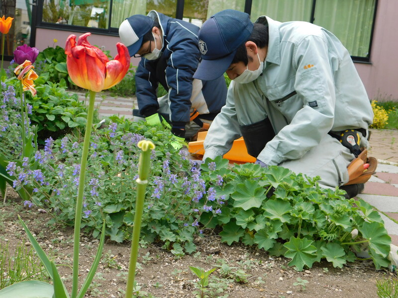 介護福祉施設の花壇づくり