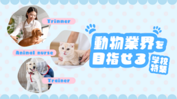 【2026】動物企画