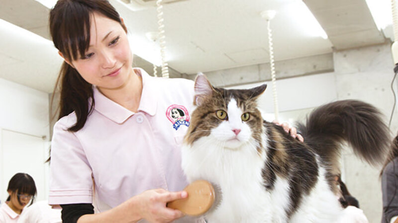 キャンパスライフ