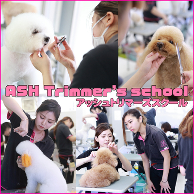 アッシュトリマーズスクール