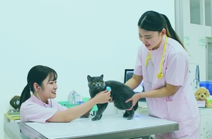 アジア動物看護理学療法専門学校