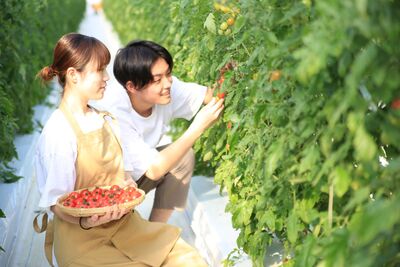 中央農業大学校