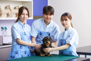 【高校３年生・既卒者、保護者対象】入試・学費説明会