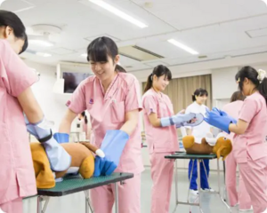 【平日・随時開催】学校見学