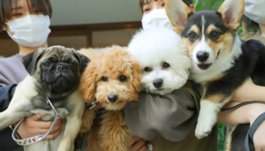 【ペット学科】オープンキャンパス