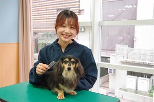 【トリマー・トレーナー・動物看護】オープンキャンパス