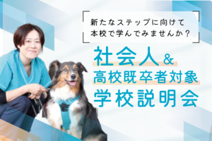 社会人・高校既卒者向け説明会