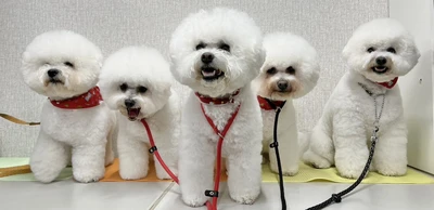 難波 ナンバペット美容学院のオープンキャンパス