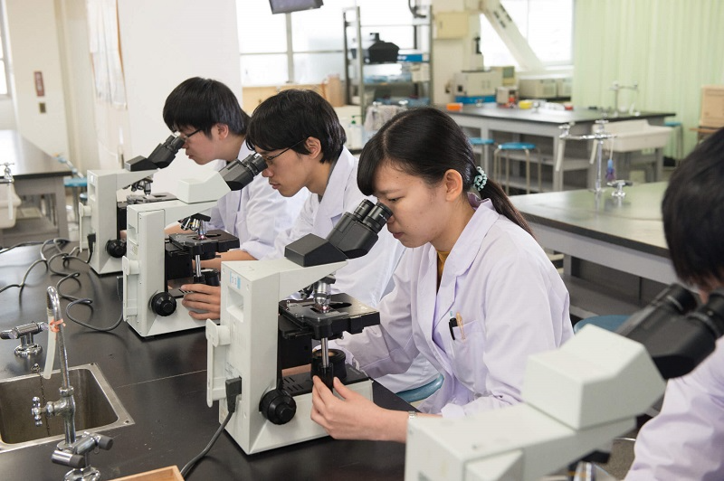 専門学校 東洋公衆衛生学院の実習イメージ