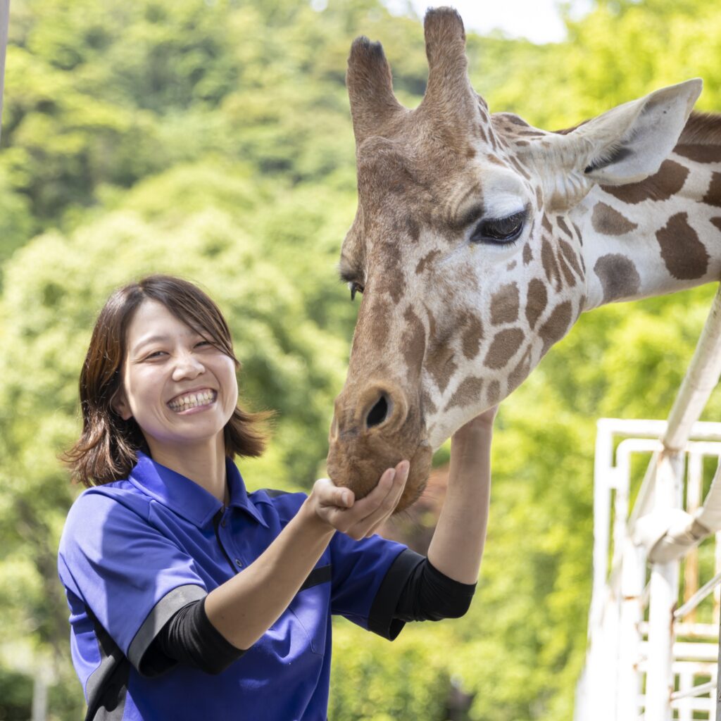 福岡ECO動物海洋専門学校の動物とのふれあい風景。キリンの顔を優しく支える様子
